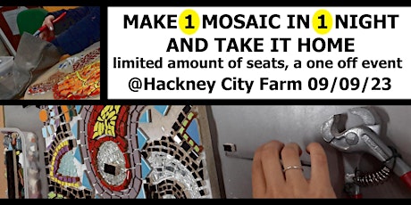 Mosaic For Adults, A Fully Finished Mosaic Using Ceramic @Hackney City Farm primary image
