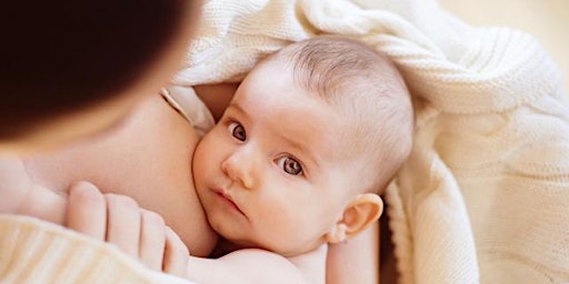 Primaire afbeelding van Breastfeeding - WEISSBLUTH PEDIATRICS (SOUTH LOOP)