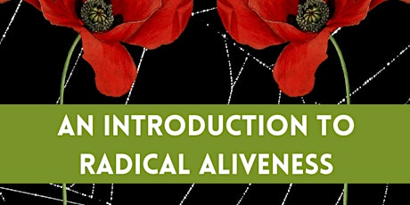 A VIRTUAL INTRODUCTION TO RADICAL ALIVENESS