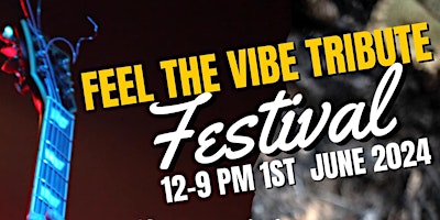 Primaire afbeelding van Feel The Vibe Tribute Festival