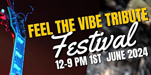 Imagem principal do evento Feel The Vibe Tribute Festival