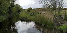 Primaire afbeelding van Walking Tour - The River Lea Part Three - To The Camp of the Catuvellauni