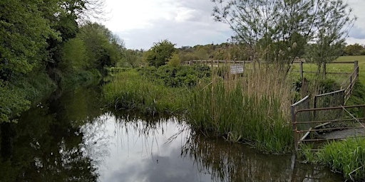 Primaire afbeelding van Walking Tour - The River Lea Part Three - To The Camp of the Catuvellauni