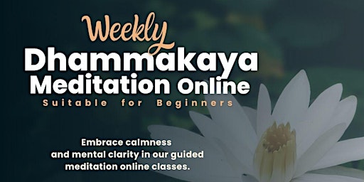 Saturday night meditations | Dhammakaya Europe primary image