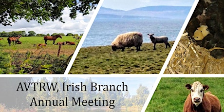 AVTRW Irish Branch, Annual meeting, 2023 primary image