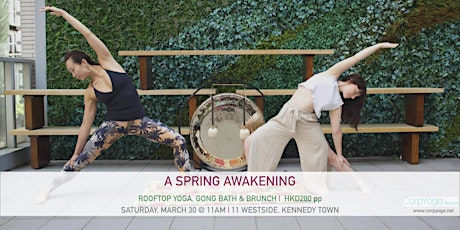 A Spring Awakening with Rooftop Yoga, Gong Bath & Brunch primary image