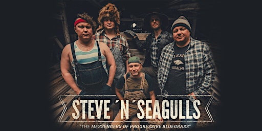 Steve N Seagulls  primärbild