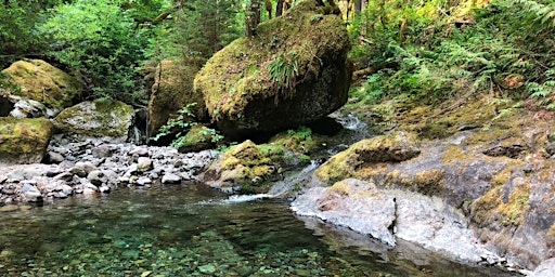 Bonanza Crosscut Logout Trail Party - Mt Hood