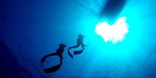 Immagine principale di Presentazione CORSI DI APNEA e ATTIVITA' 2025-2026