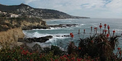 Primaire afbeelding van North Laguna Beach Multi Cove Hikeabout w Village Walkabout Sunset Tour