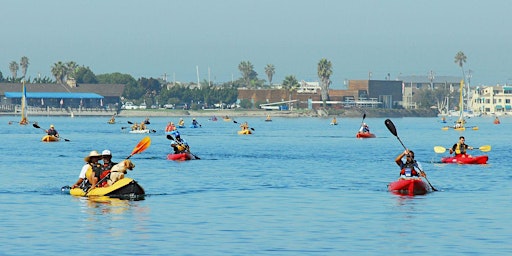 Image principale de Mission Bay Kayaking Tour