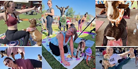 Cinco de Goat Yoga!