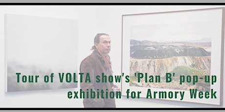 Tour of VOLTA show's 'Plan B' pop-up exhibition for Armory Week | A Be Smart About Art Member Masterclass With Susan J Mumford