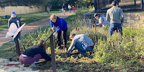 Imagen principal de Violet Crown Trail Cleanup - Sunset Valley Trailhead