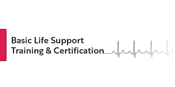 Basic Life Support Training & Certification Class