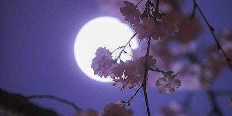 Harmonize & Create with Grace: Libra Full Moon & Spring Equinox Workshop primary image