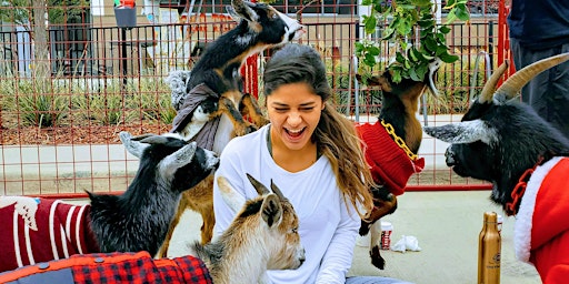 Imagem principal do evento Goat Yoga Addison Circle!