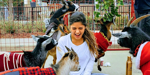 Imagem principal de Goat Yoga Addison Circle!