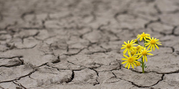 Resiliencia: Creciendo a Traves de los Desafios de la Vida