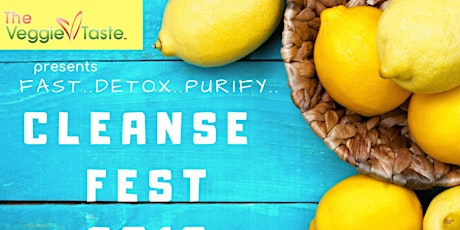 Cleanse Fest 2019 primary image