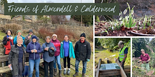 Friends of Almondell & Calderwood primary image