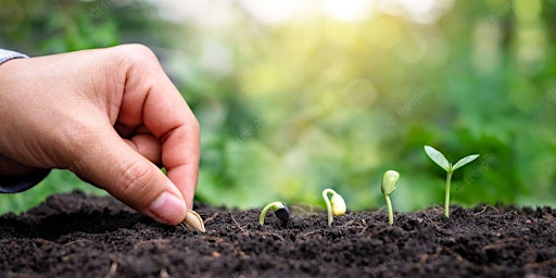 Hauptbild für Growing Plants From Seeds