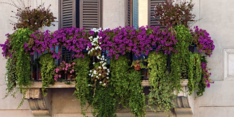 Immagine principale di Corso Balcone Fiorito 