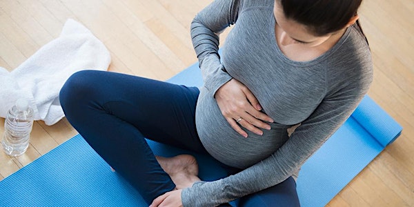 Introduction to Prenatal Fitness