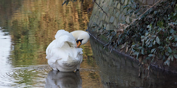 RSPB Big Garden Bird Watch at Kingston Uni - Middle Mill
