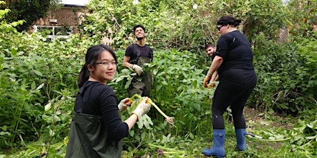 Balsam bash at Elmbridge Meadows