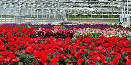 TTIS Members Only - Exclusive Visit to Royal Parks Nursery primary image