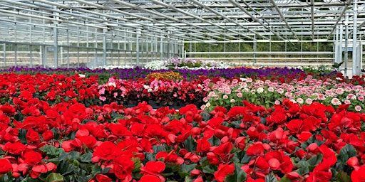 Imagen principal de TTIS Members Only - Exclusive Visit to Royal Parks Nursery