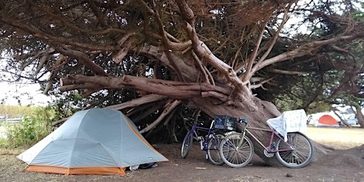 Imagem principal de 1-Hour Bike Camping in the East Bay Workshop