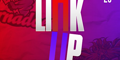 The Link Up primary image