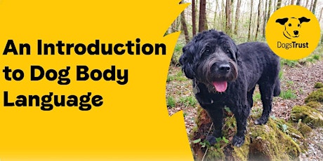 Introduction to Dog Body Language-May Talk primary image