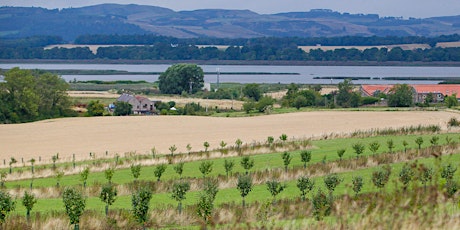 Thinking about agroforestry? Silvopastural & silvoarable systems, Newburgh primary image