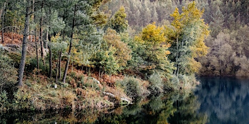 Immagine principale di Walking tour to Barragem Duarte Pacheco (just for The VALLEY guests) 