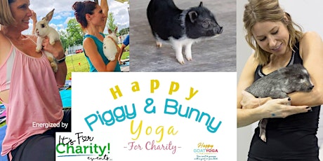 Happy Piggy & Bunny Yoga-For Charity: Martin House Brewing Company primary image