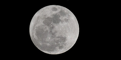 Full Moon Walks primary image