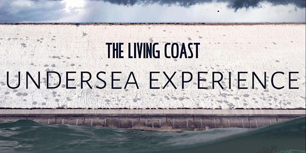 The Living Coast Undersea Experience at Newhaven