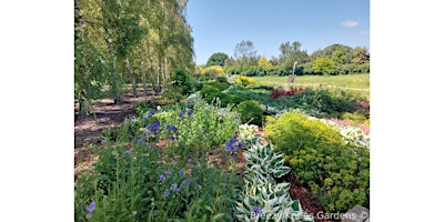 Immagine principale di Guided Garden Walk: Late Spring/Early Summer Colour 