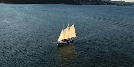 Imagen principal de Cinco de Mayo 2024 Afternoon Sail on San Francisco Bay