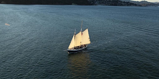 Cinco de Mayo 2024 Afternoon Sail on San Francisco Bay  primärbild