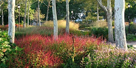 Hauptbild für Summer Tour of Perennial Gardens