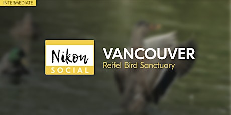 #nikonsocial | Reifel Bird Sanctuary - Vancouver