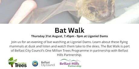 Imagem principal do evento Bat Walk at Ligoniel Dams