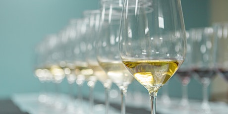 Wine 101: From Grapes to Glass primary image