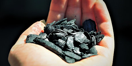 Biochar: Black is the New Green primary image