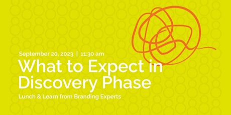 Image principale de What to Expect in Discovery Phase