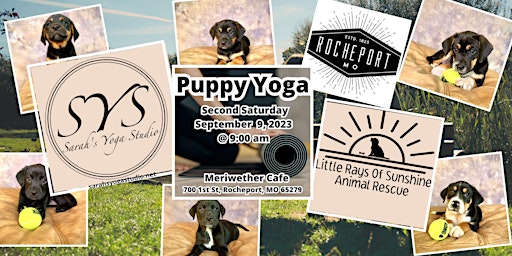 Puppy Yoga at Meriwether Cafe primary image